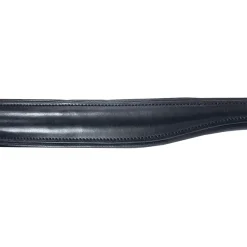 Kavalkade Charlotte nesereim, svensk kombi