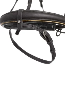 Kavalkade Cortica Vegan Cork hodelag