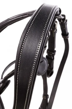 Kavalkade Diandro Hodelag med kryssnesereim