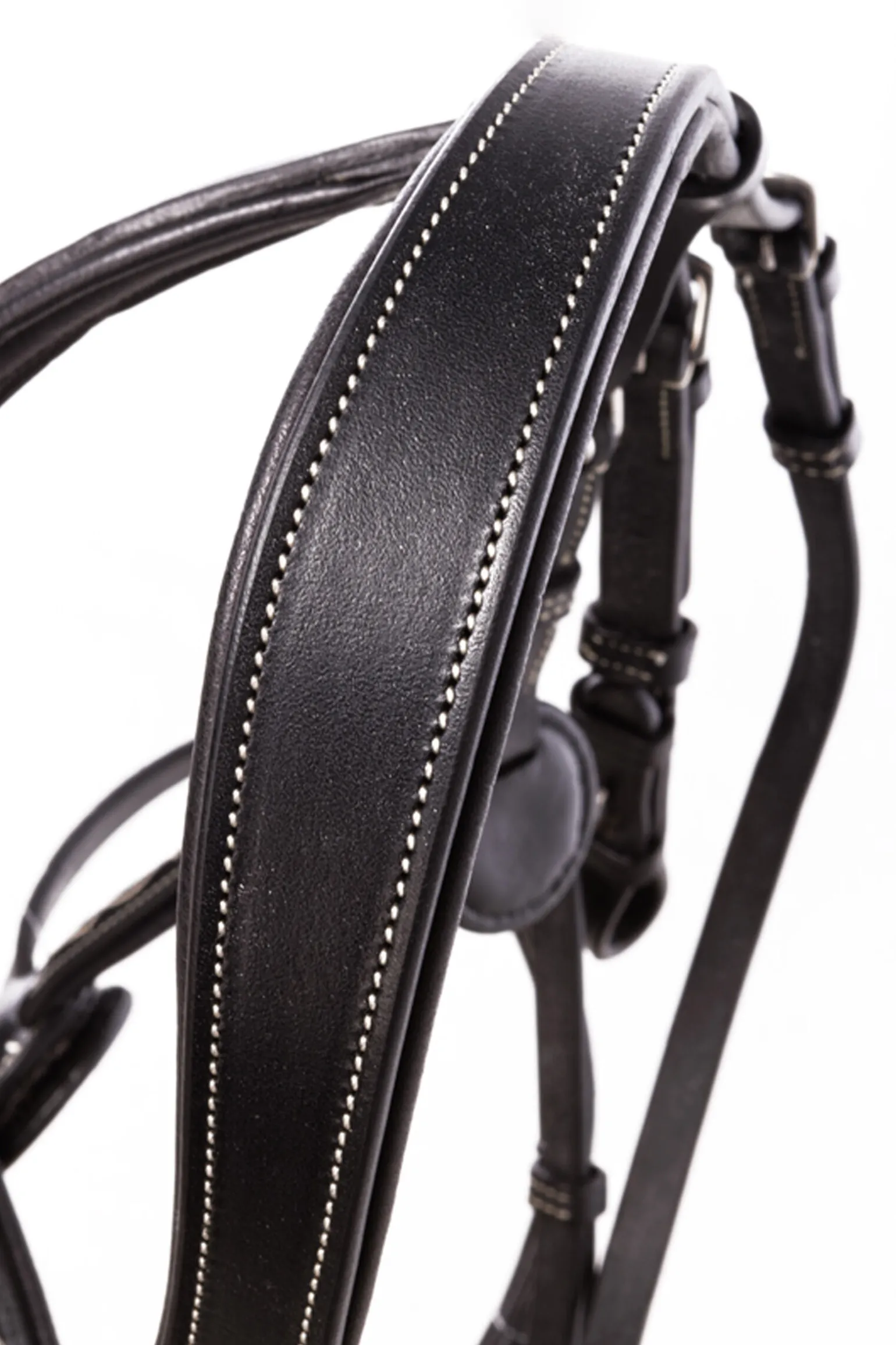 Kavalkade Diandro Hodelag med kryssnesereim