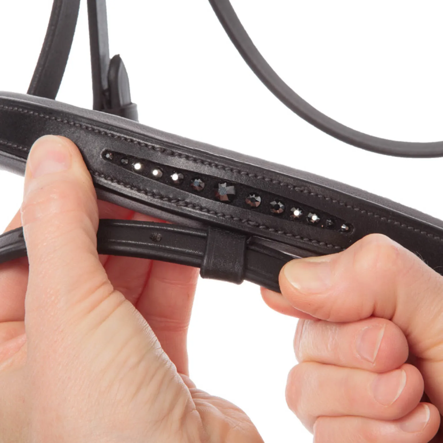 Kavalkade Ella KavalSH4 hodelag