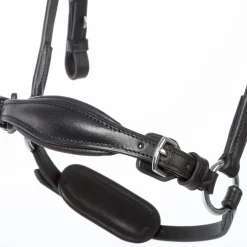 Kavalkade Fiala Bridle