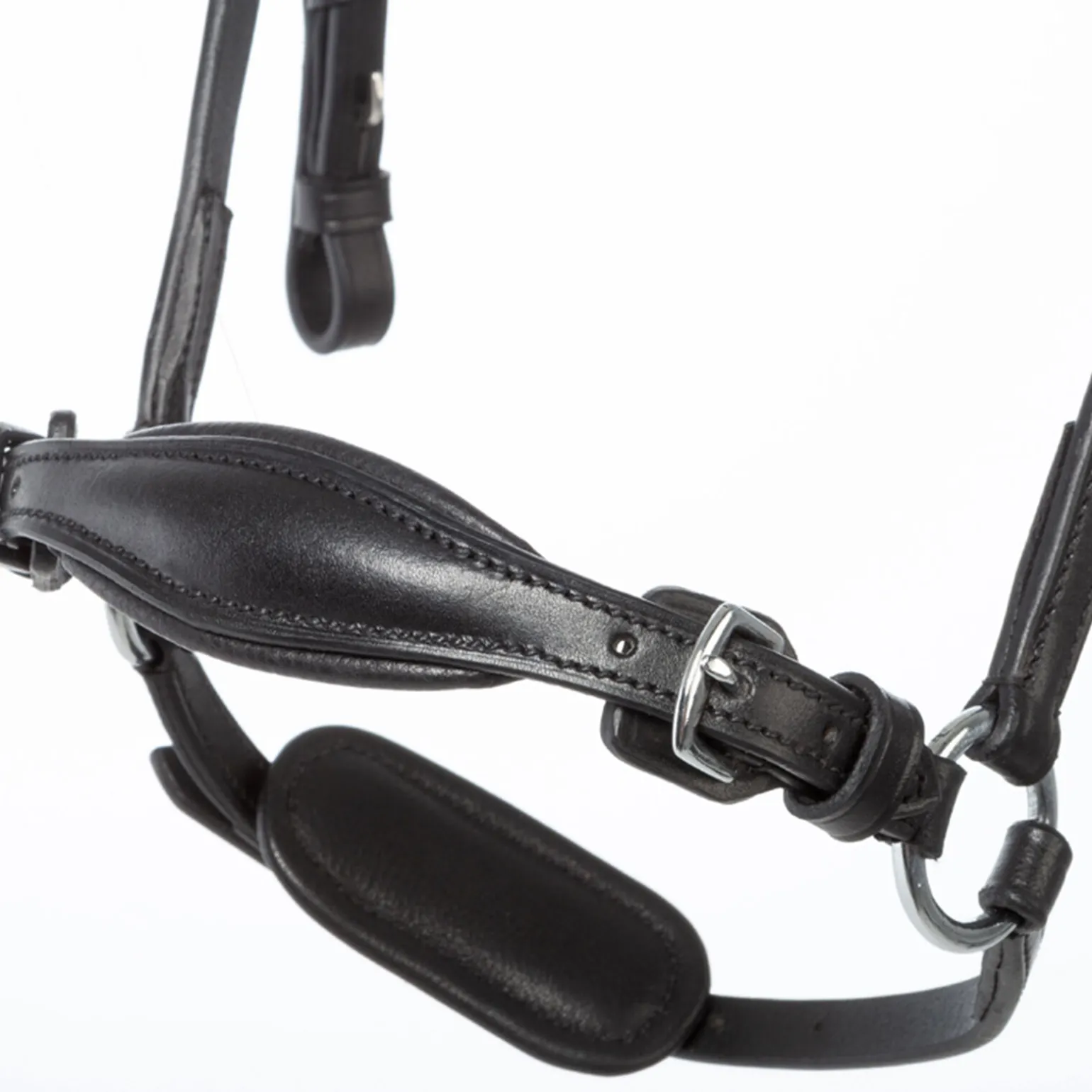 Kavalkade Fiala Bridle