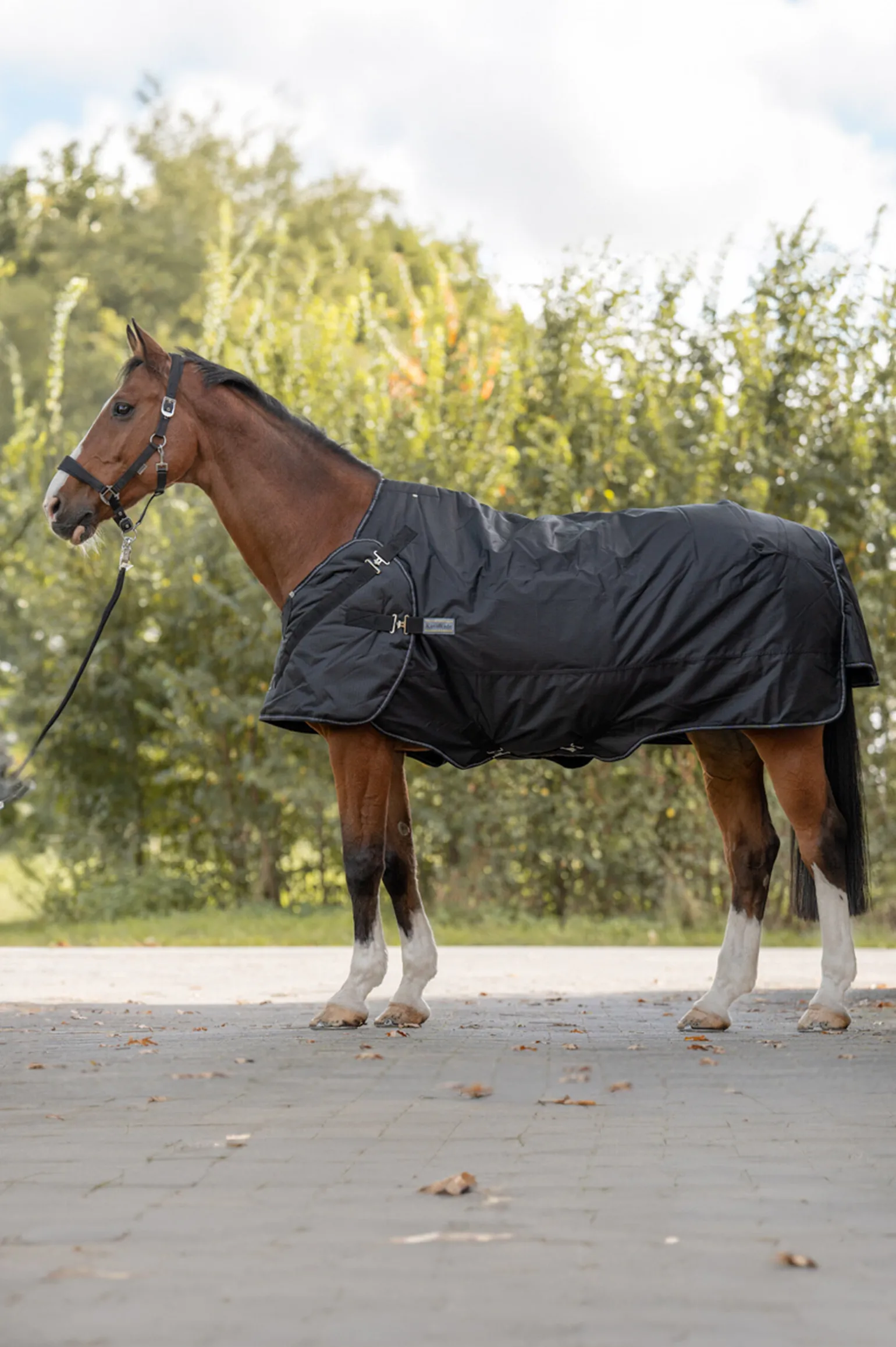 Kavalkade Halifax 2-i-1 Utedekken og Walker-dekken 50g