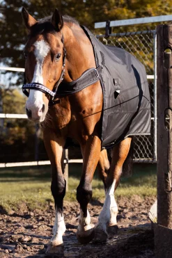 Kavalkade Halifax 2-i-1 Utedekken og Walker-dekken 50g