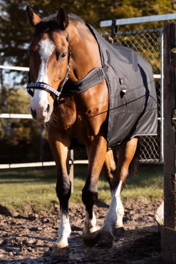 Kavalkade Halifax 2-i-1 Utedekken og Walker-dekken 200g