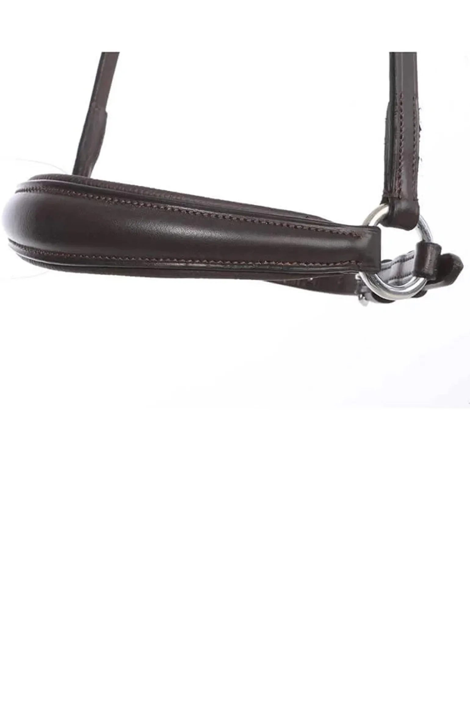 Kavalkade hanoveransk nesereim