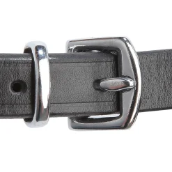 Kavalkade Isabella hodelag med lav nesereim