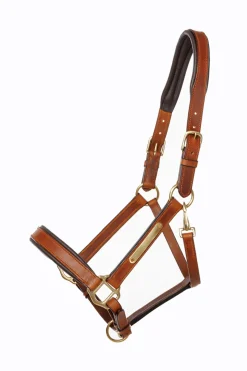 Kavalkade lærgrime Cinta