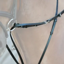 Kavalkade Market Harborough martingal