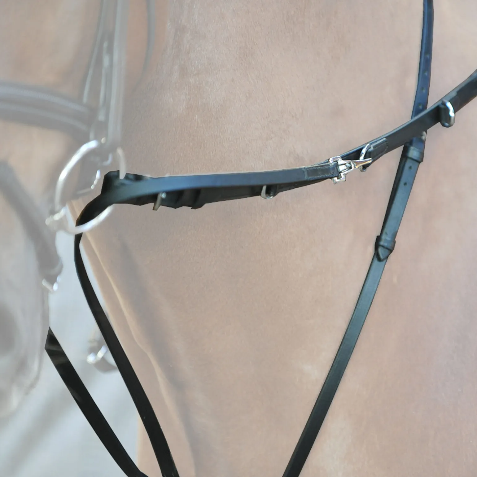 Kavalkade Market Harborough martingal