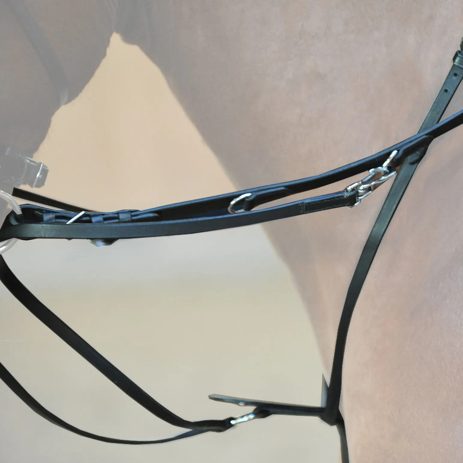 Kavalkade Market Harborough martingal