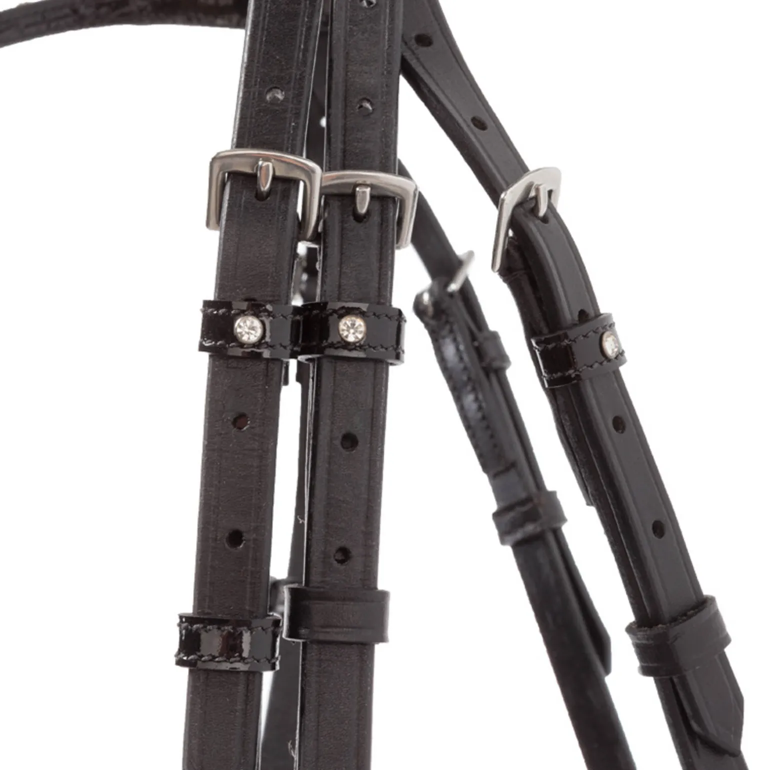 Kavalkade Reyna KavalSH4 hodelag