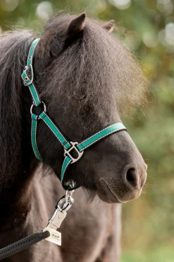 Kavalkade Shorty Grime for Shetlandsponnier