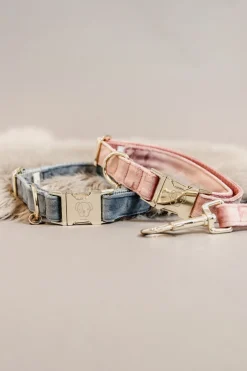 Kentucky Dogwear Velvet hundehalsbånd