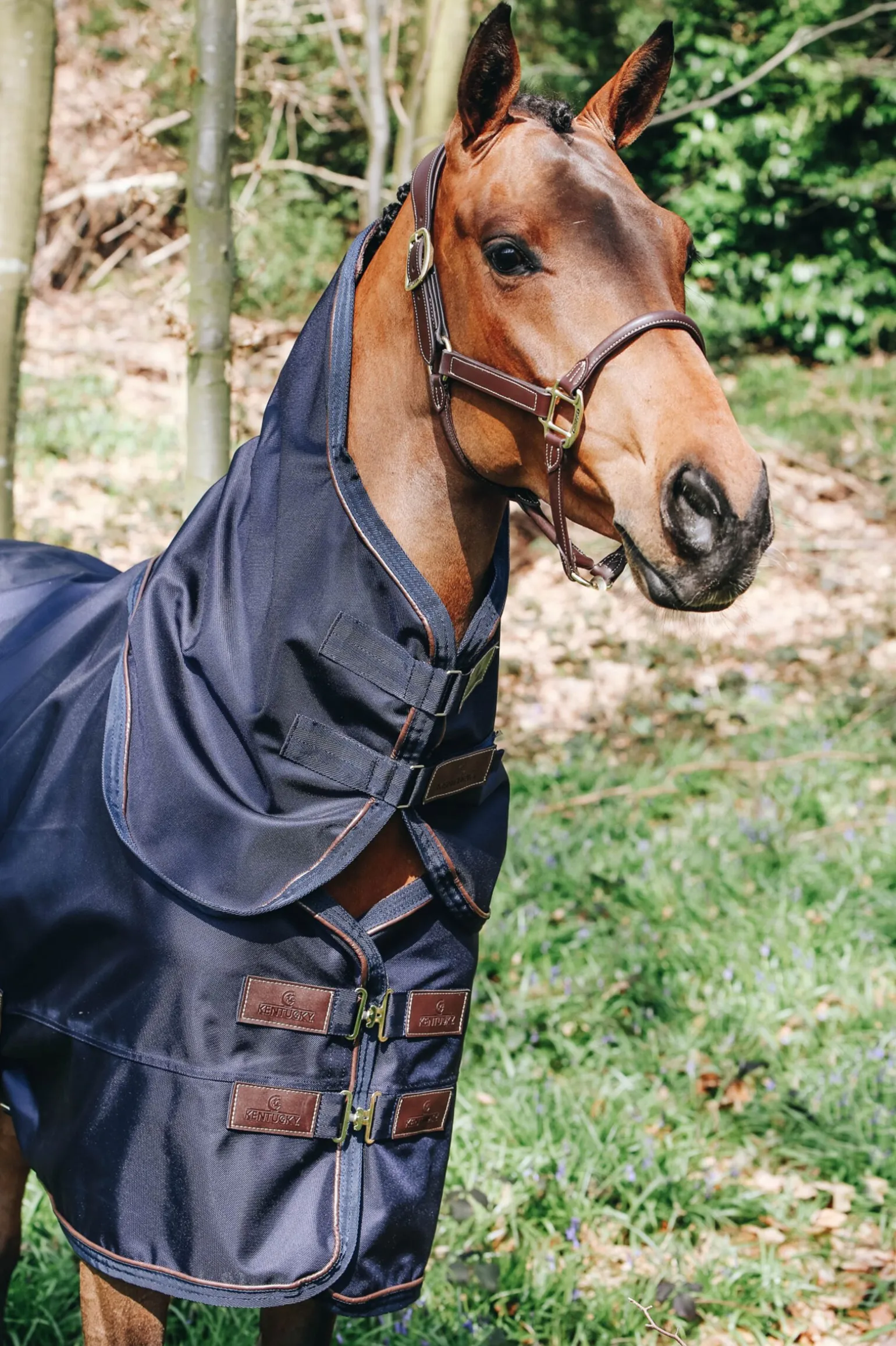 Kentucky Horsewear All Weather hals, 0 gram