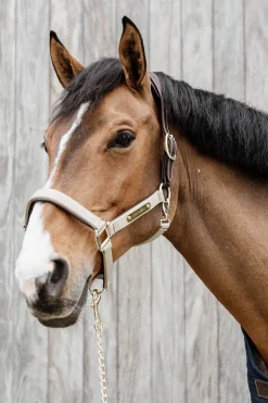 Kentucky Horsewear anatomisk nylongrime