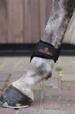 Kentucky Horsewear bakbeinsbelegg til unghest