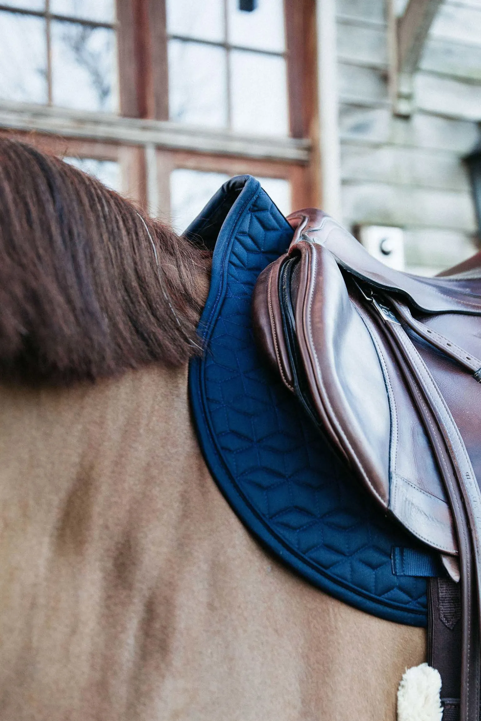 Kentucky Horsewear Basic sprangsjabrak