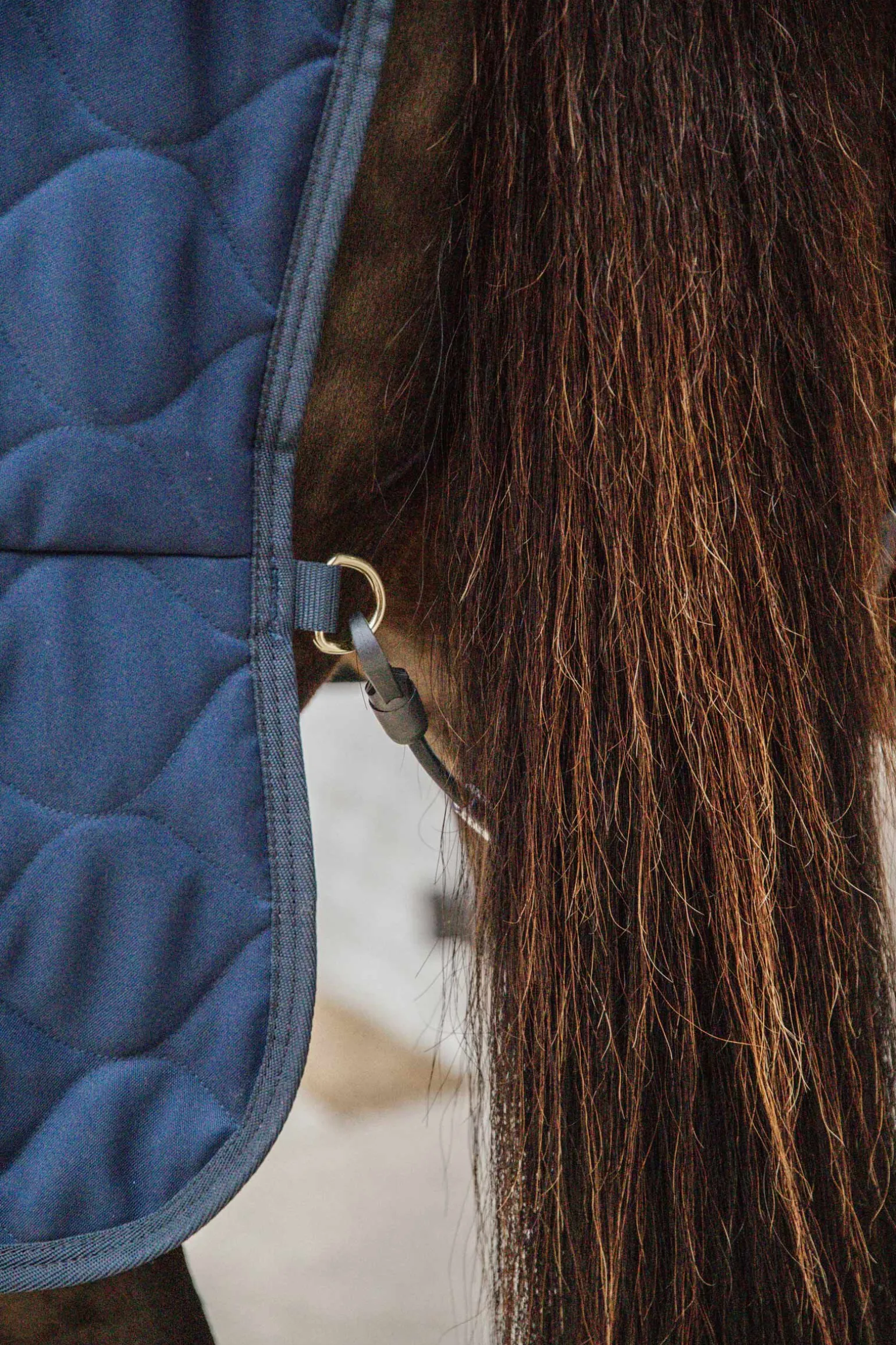 Kentucky Horsewear Comfort Stallteppe 100g