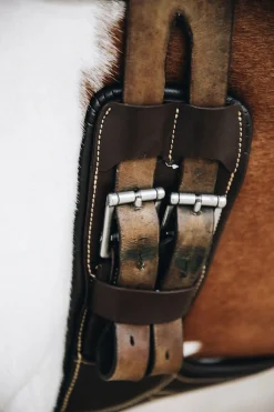 Kentucky Horsewear kort gjord med mageplate