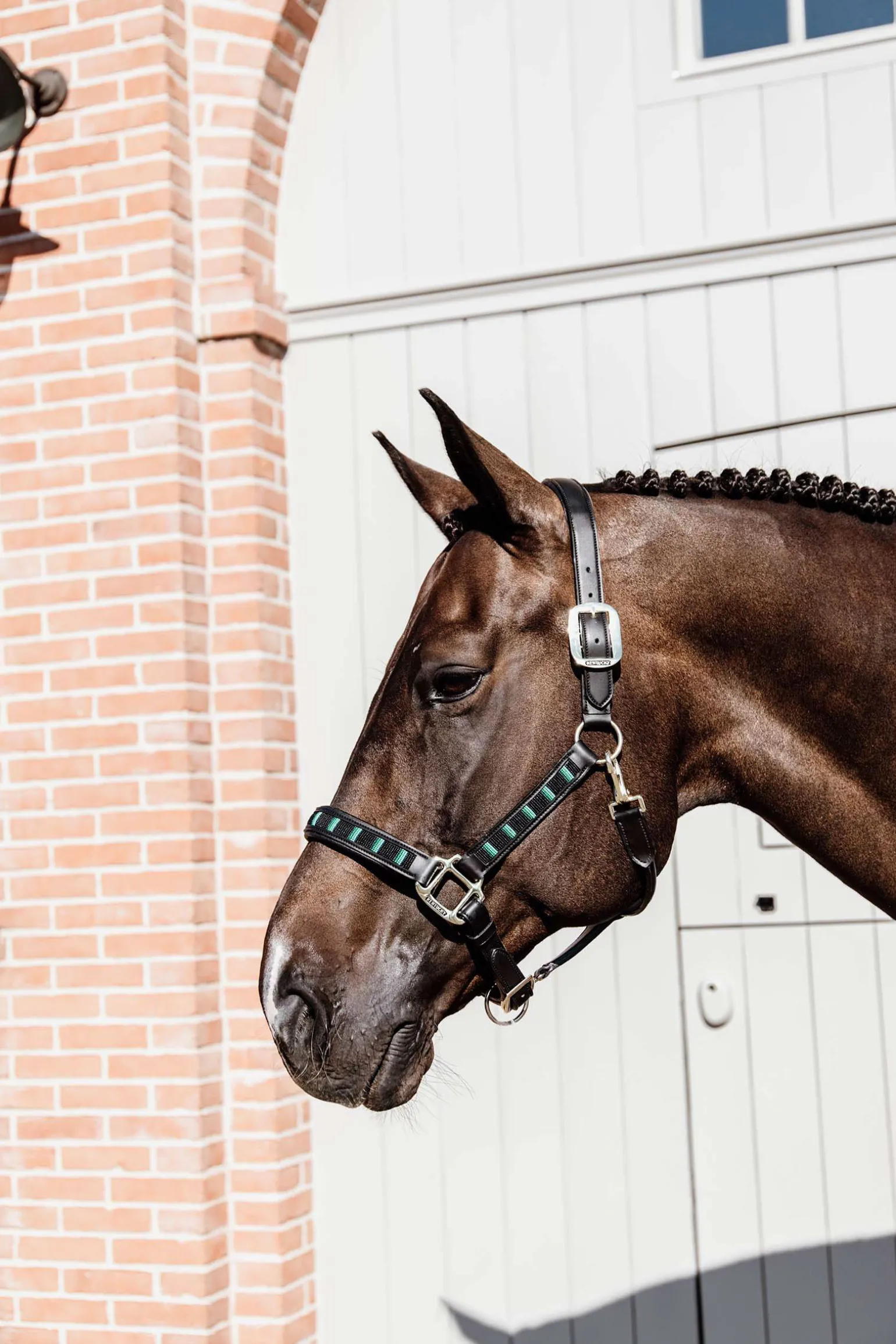 Kentucky Horsewear Pearls grime