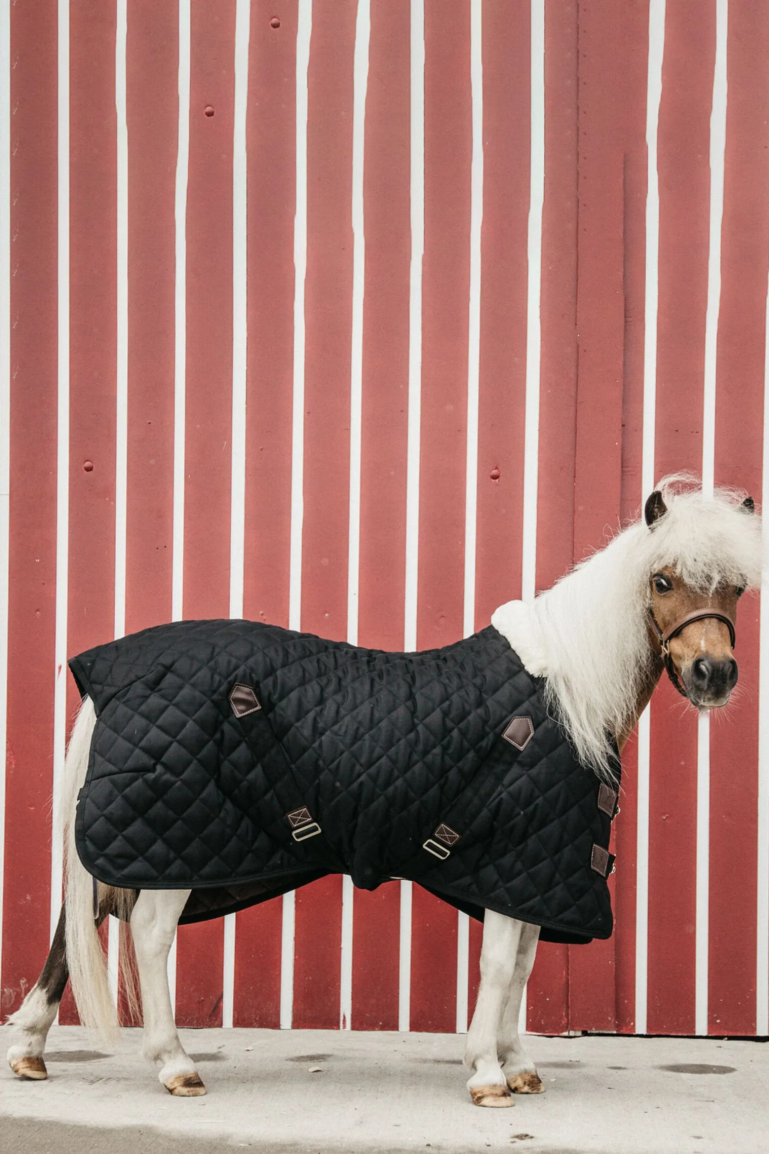 Kentucky Horsewear stalldekken, 400 gram