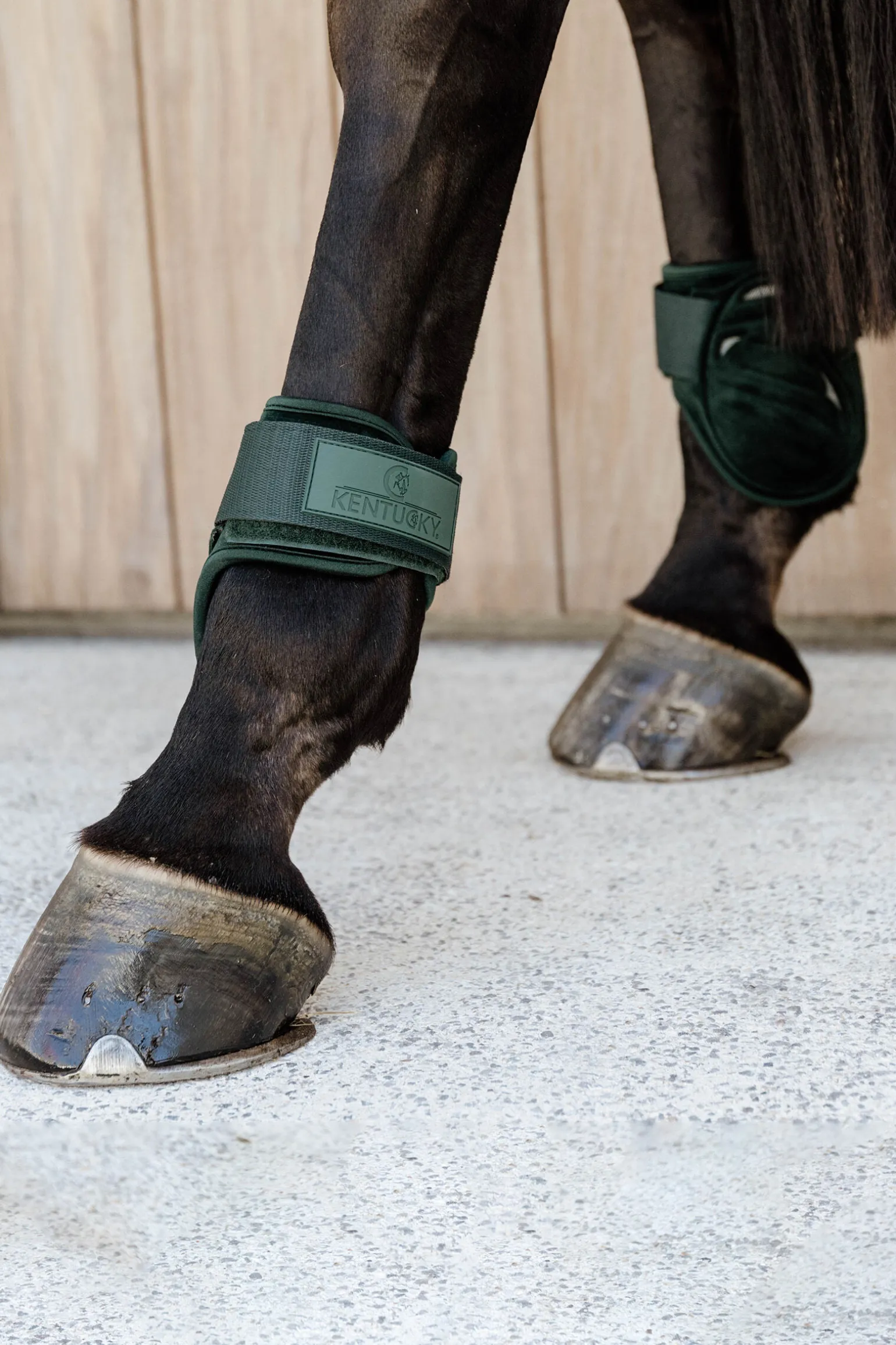 Kentucky Horsewear Velvet Young Horse Fetlock-støvler
