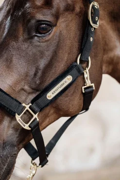 Kentucky Horsewear Velvet grime