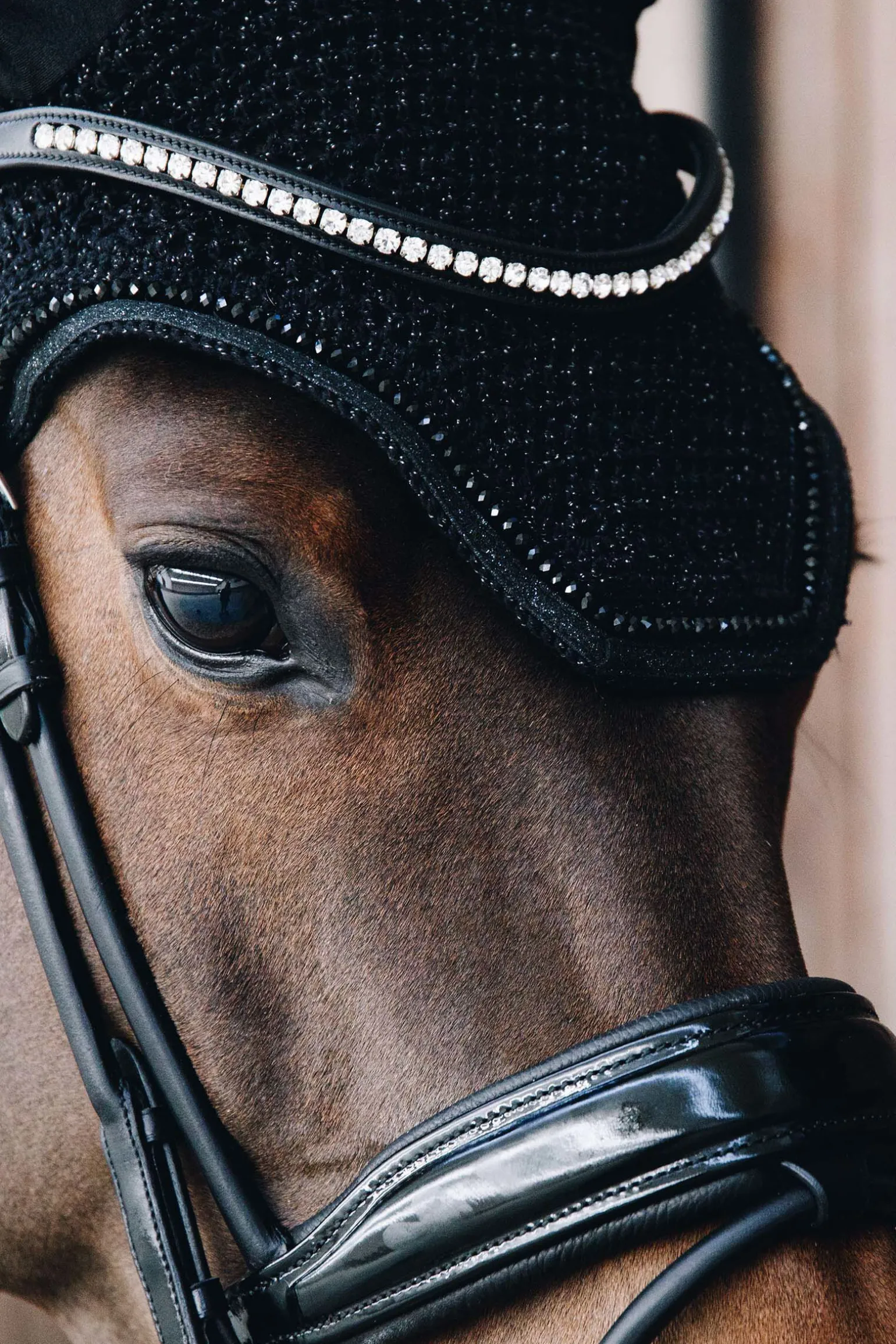 Kentucky Horsewear Wellington ørehette med glitter