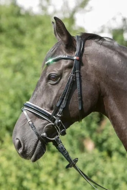 Kieffer Comfort Paris hodelag