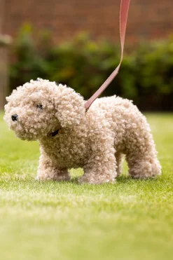 LeMieux Chester leketøyshundehvalp