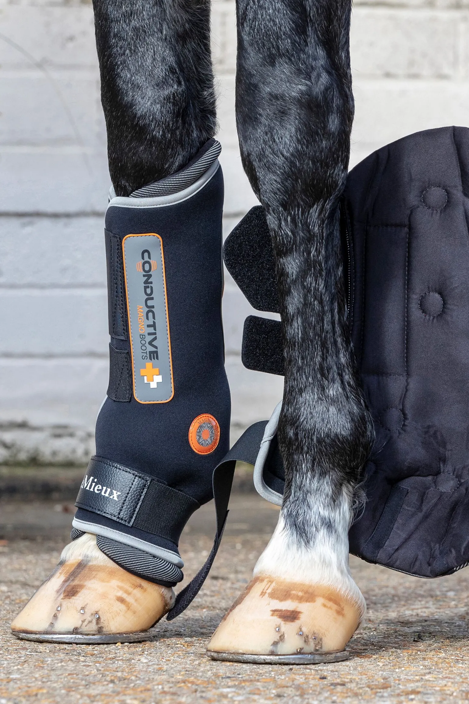 LeMieux Conductive Magno belegg (foran / bak)