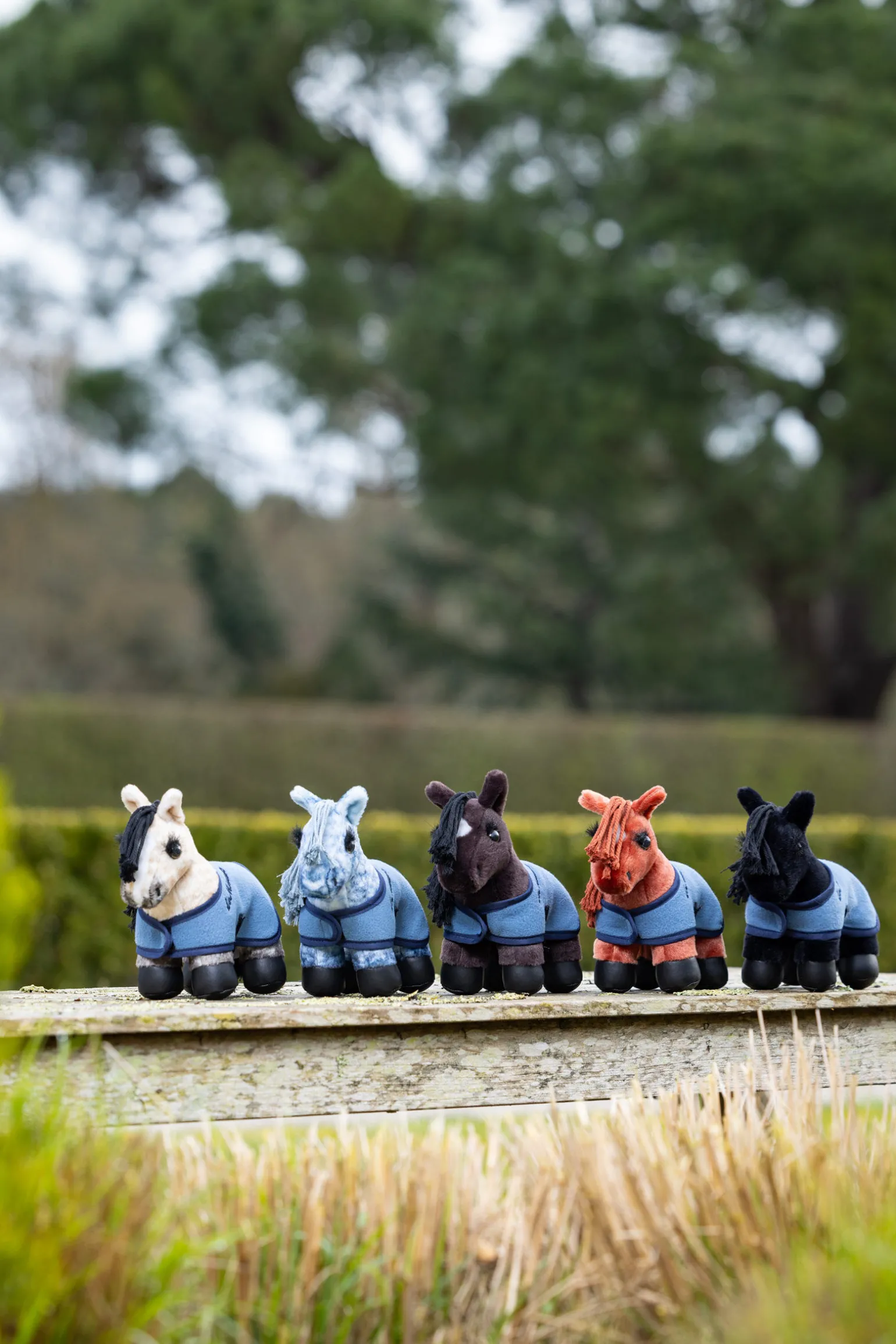 LeMieux Dream mini lekepåni