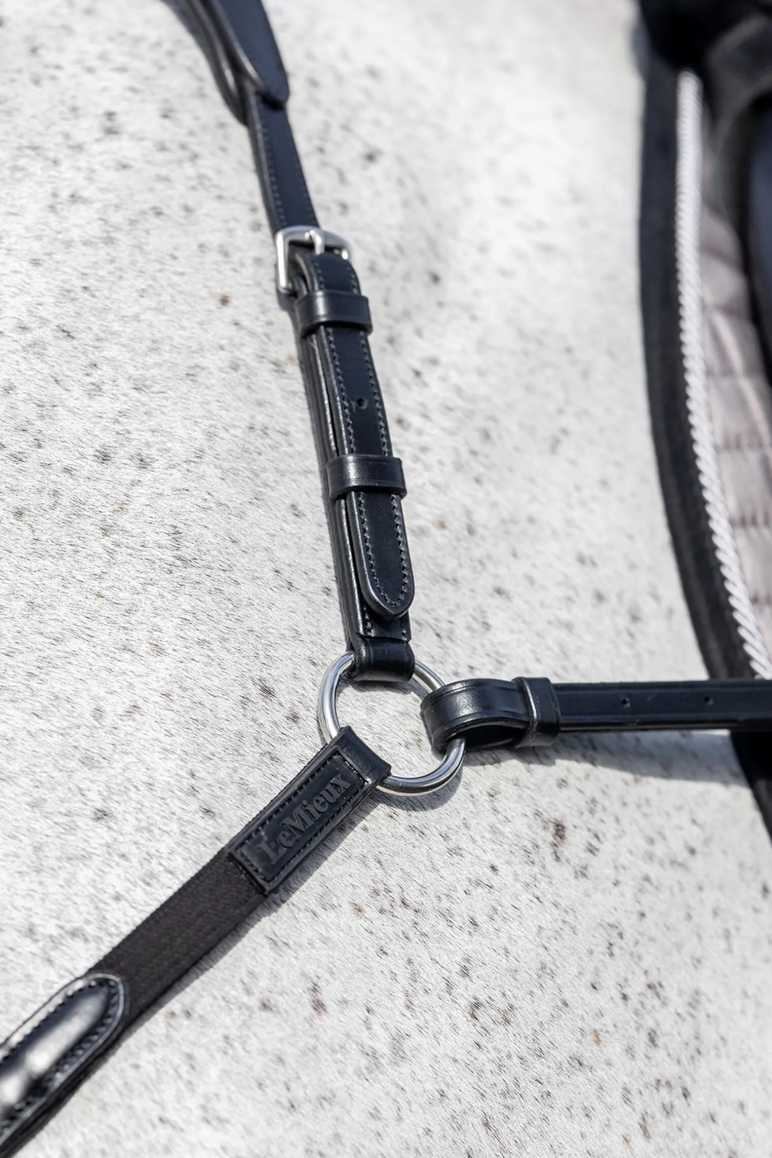 LeMieux Fortøy med avtakbar Martingal