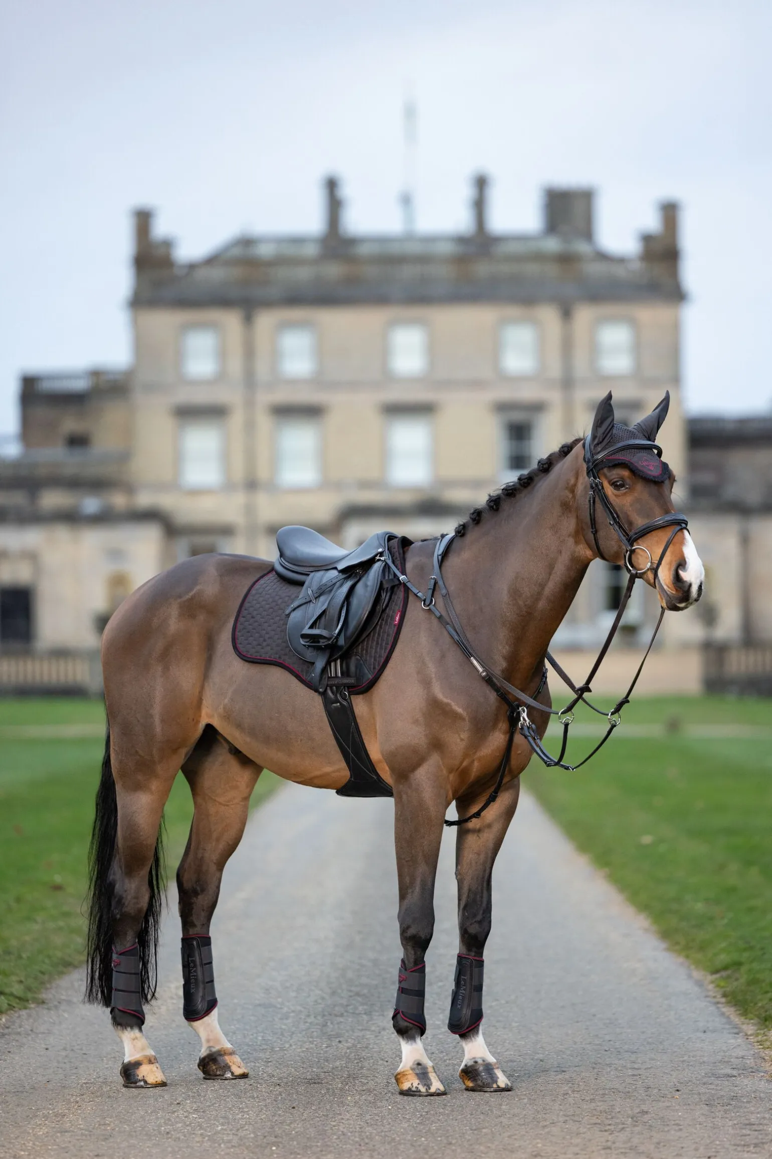 LeMieux Grafter stryksokker