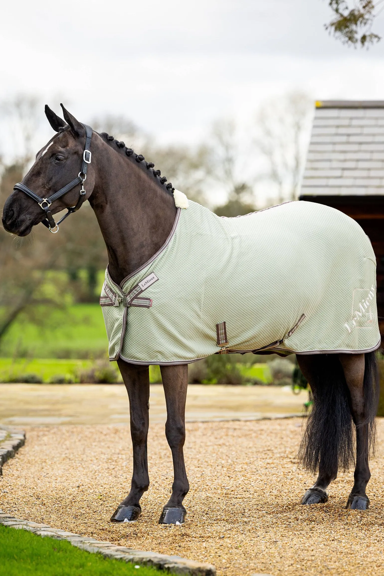 LeMieux Kudos Bambus Absorberende dekken