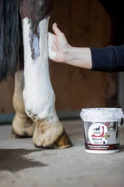 Leovet mineralpakke med arnika