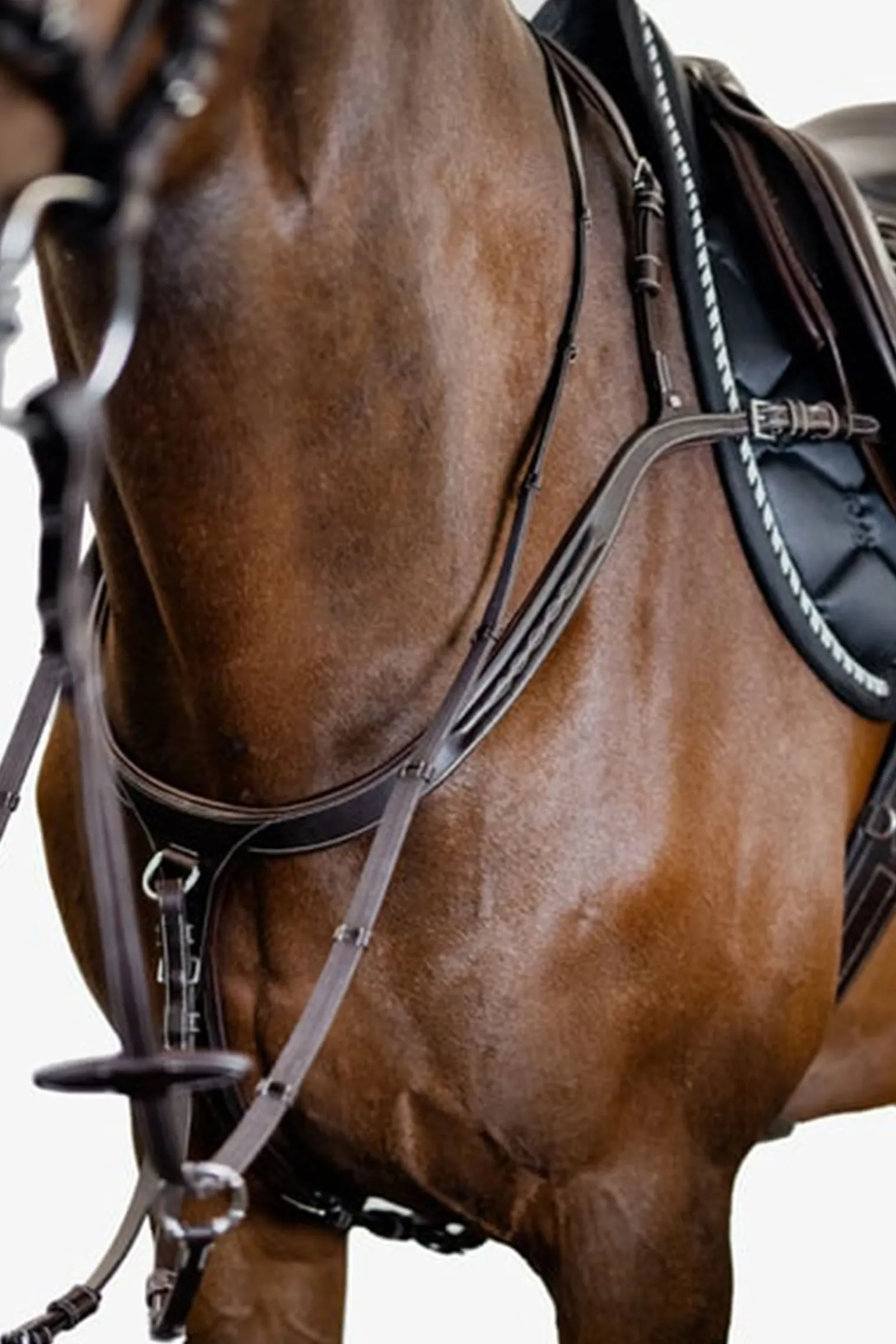 PS of Sweden fortøy Tokyo