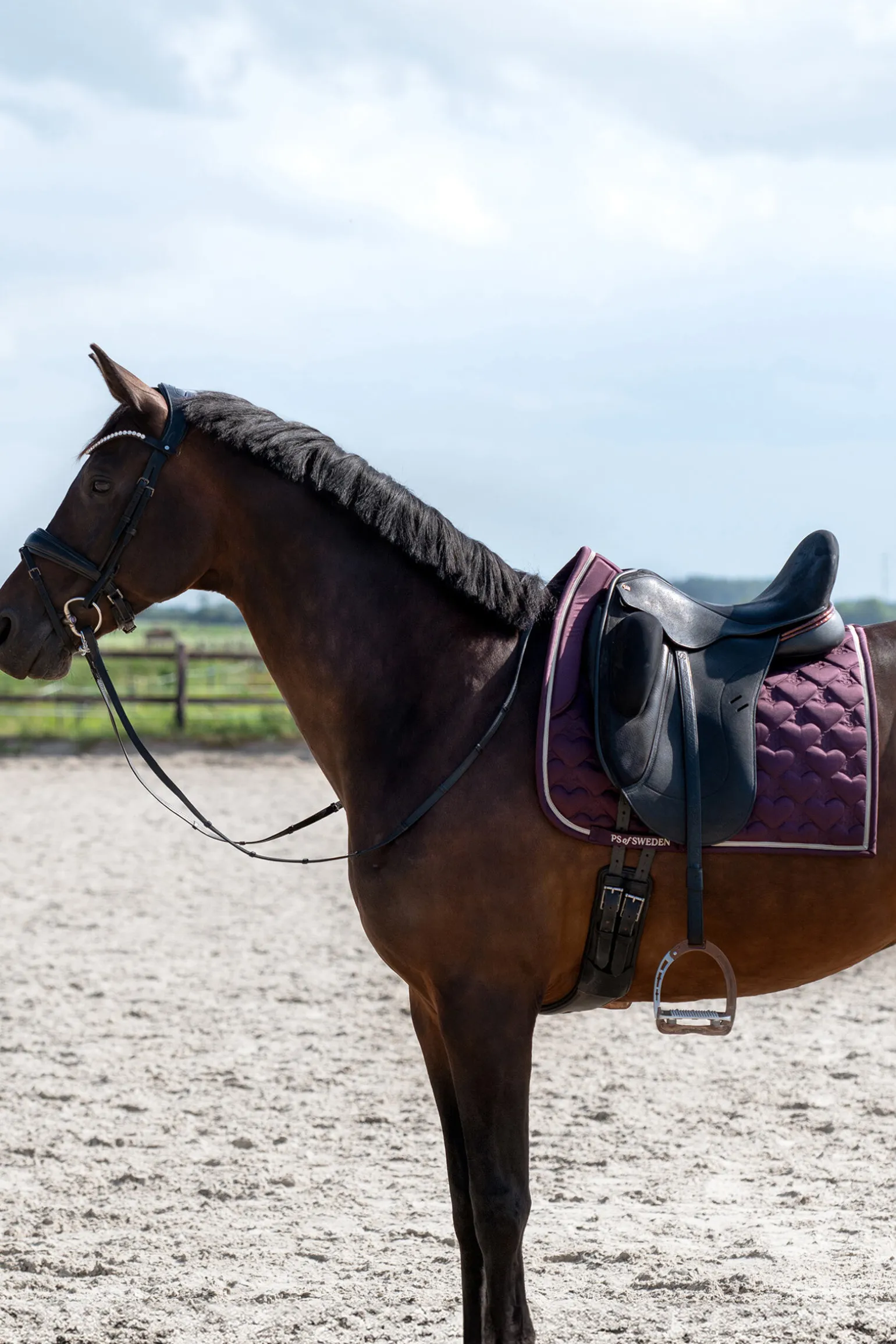 PS of Sweden Hjerte Dressursadelunderlag