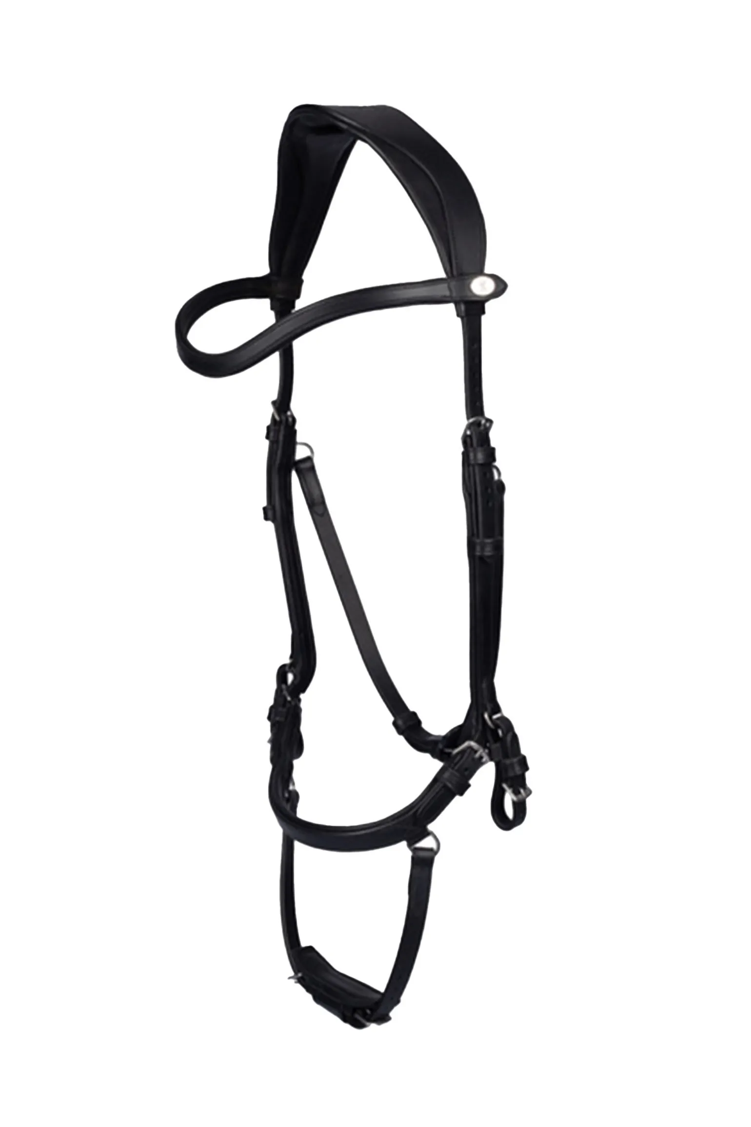 PS of Sweden Hodelag King Edward