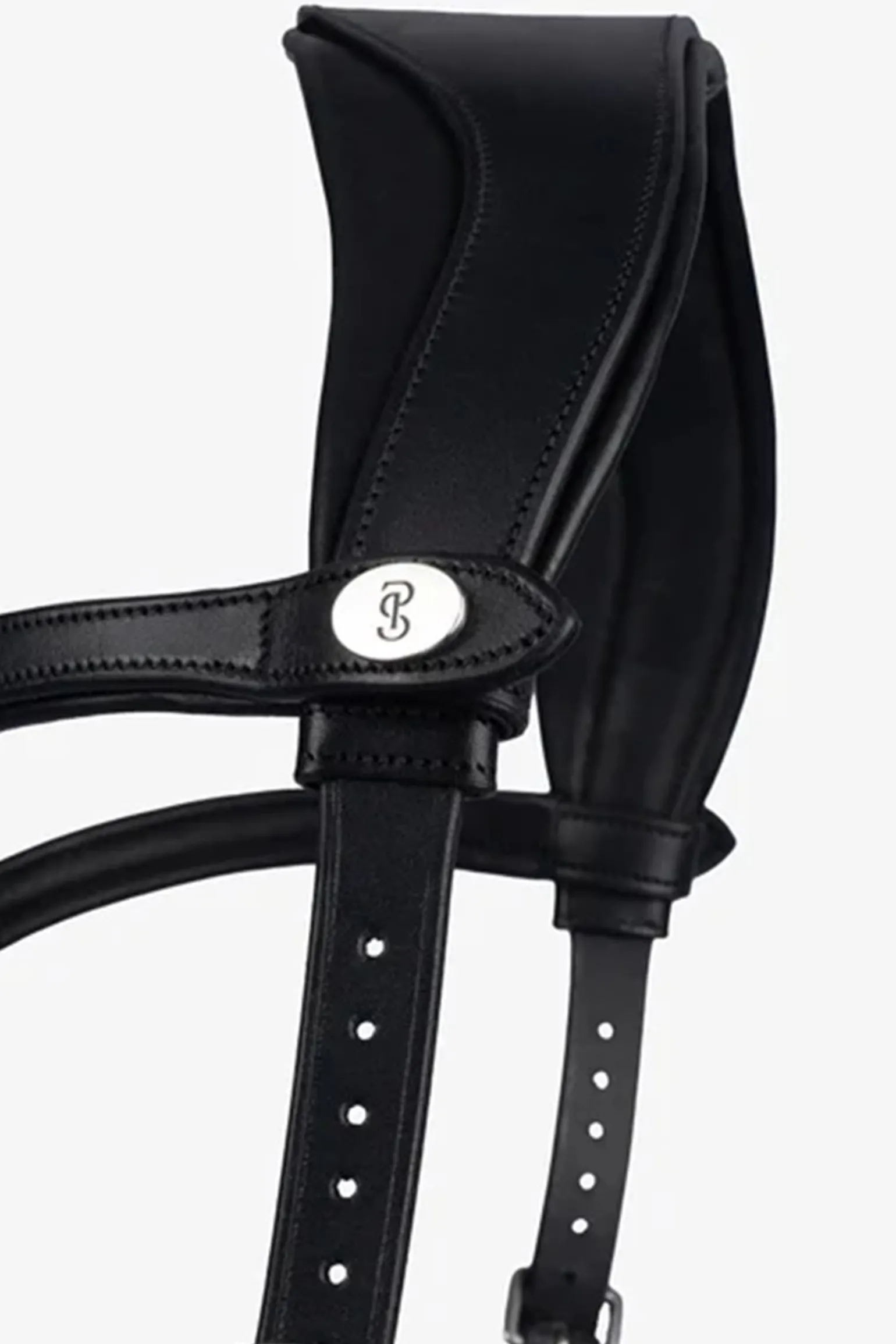 PS of Sweden Hodelag King Edward