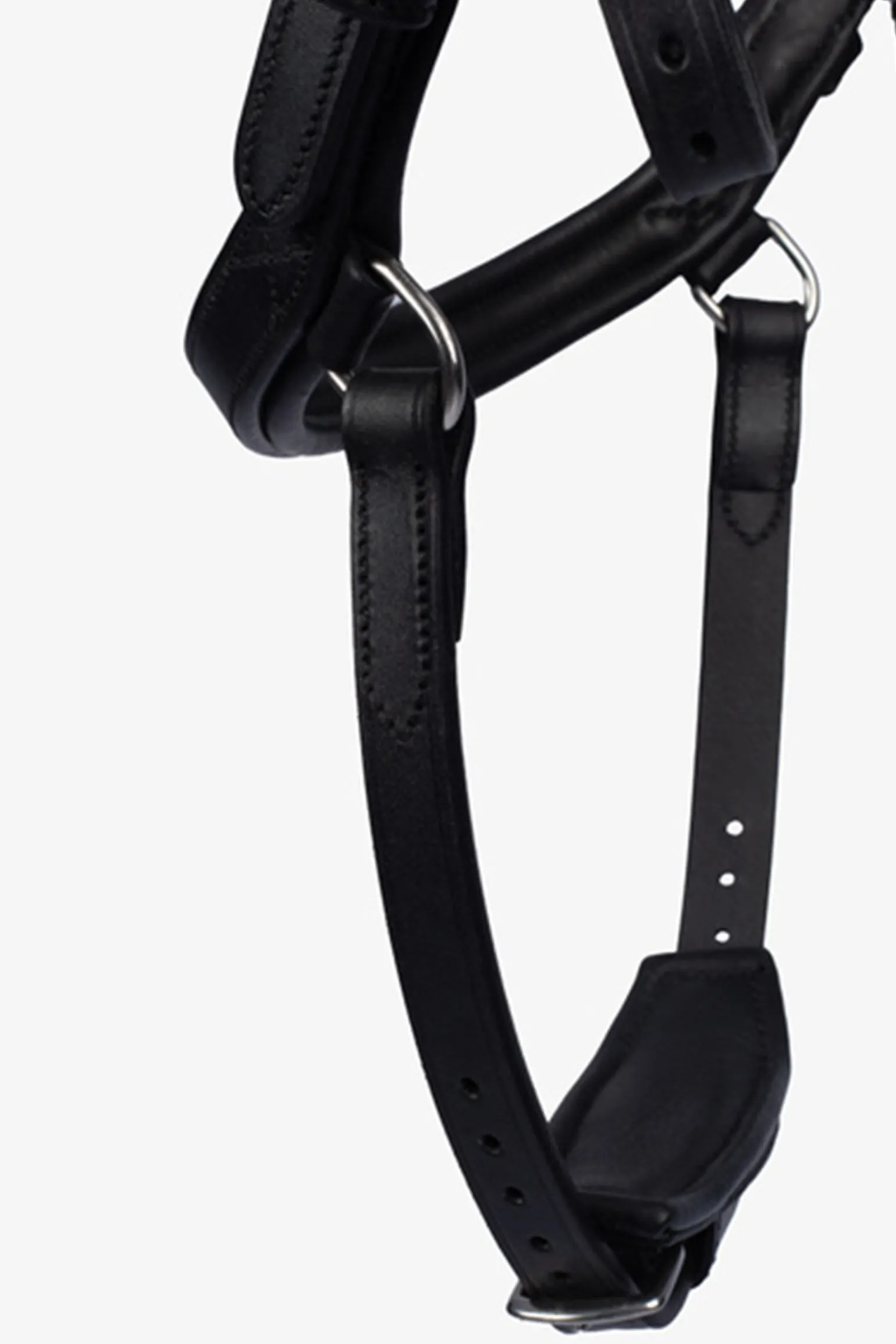 PS of Sweden Hodelag King Edward