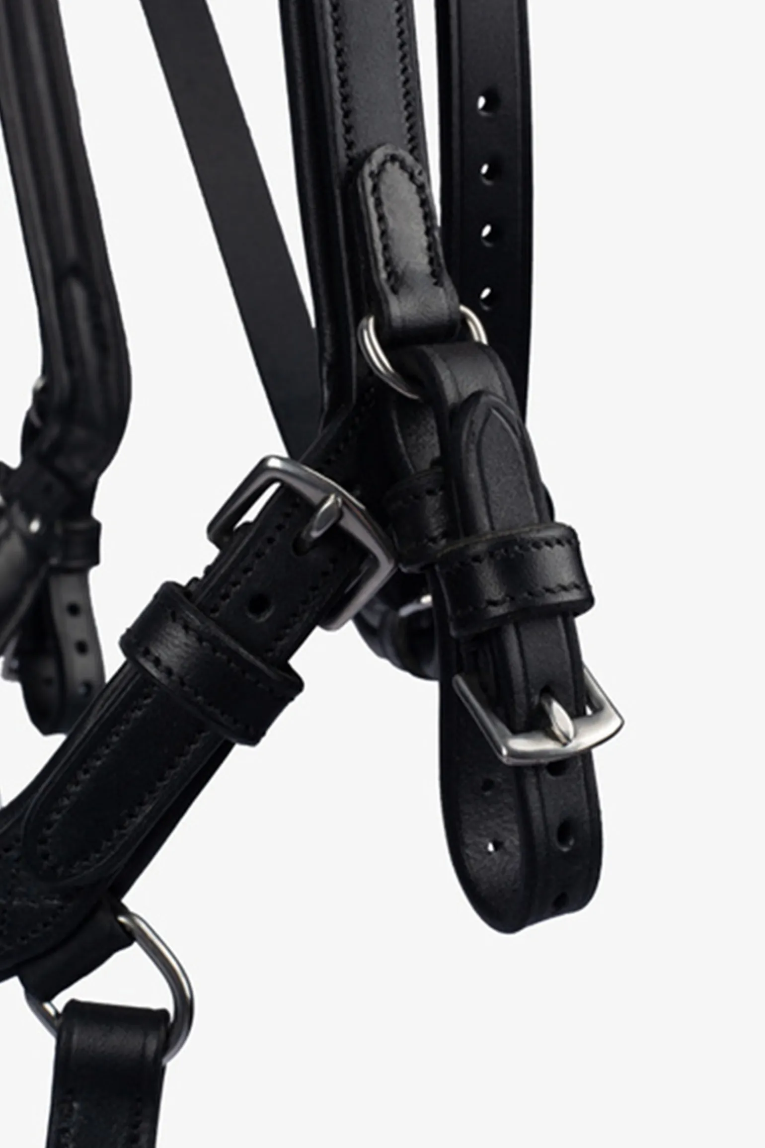 PS of Sweden Hodelag King Edward