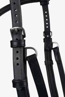 PS of Sweden Hodelag King Edward