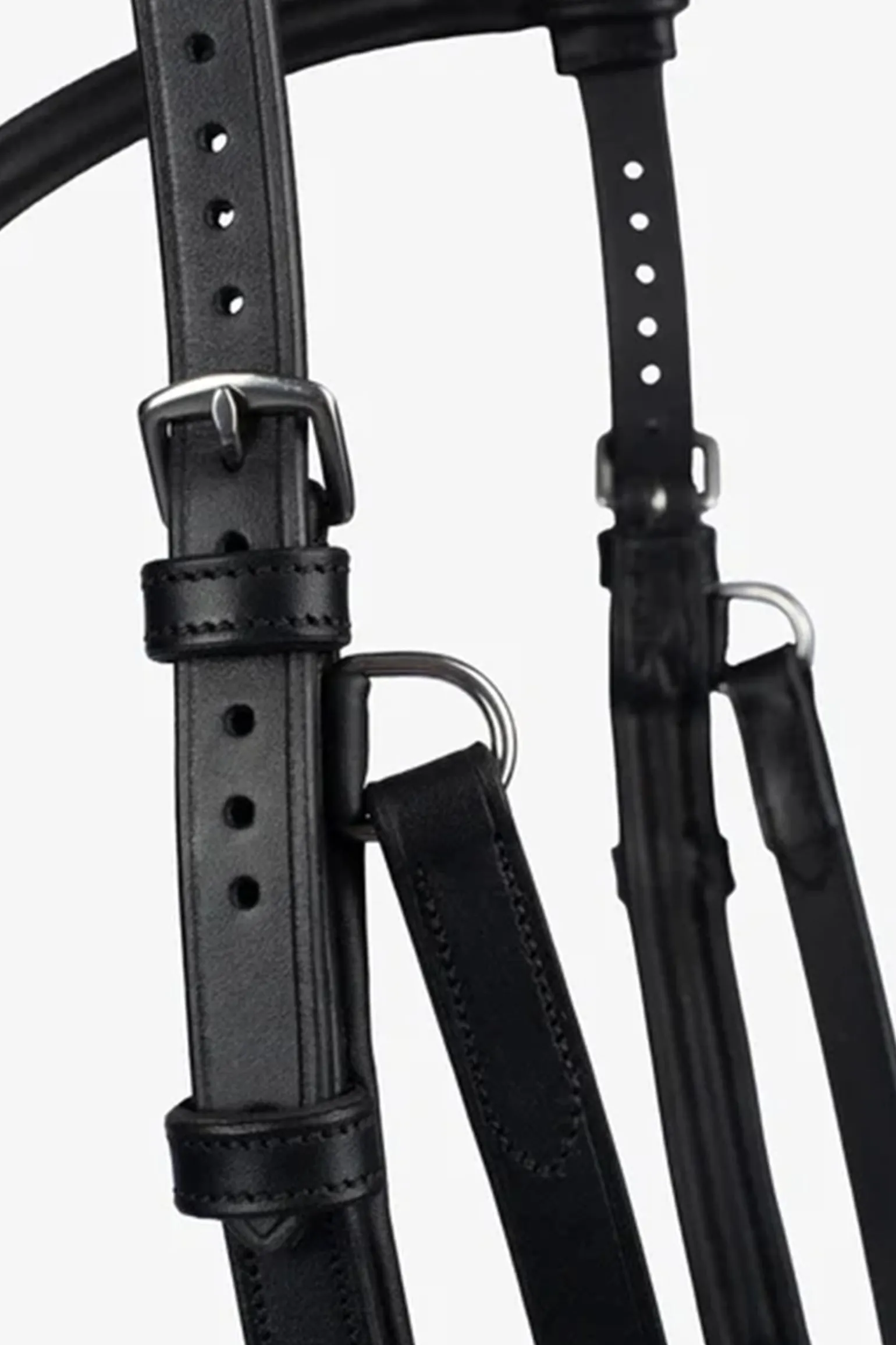 PS of Sweden Hodelag King Edward