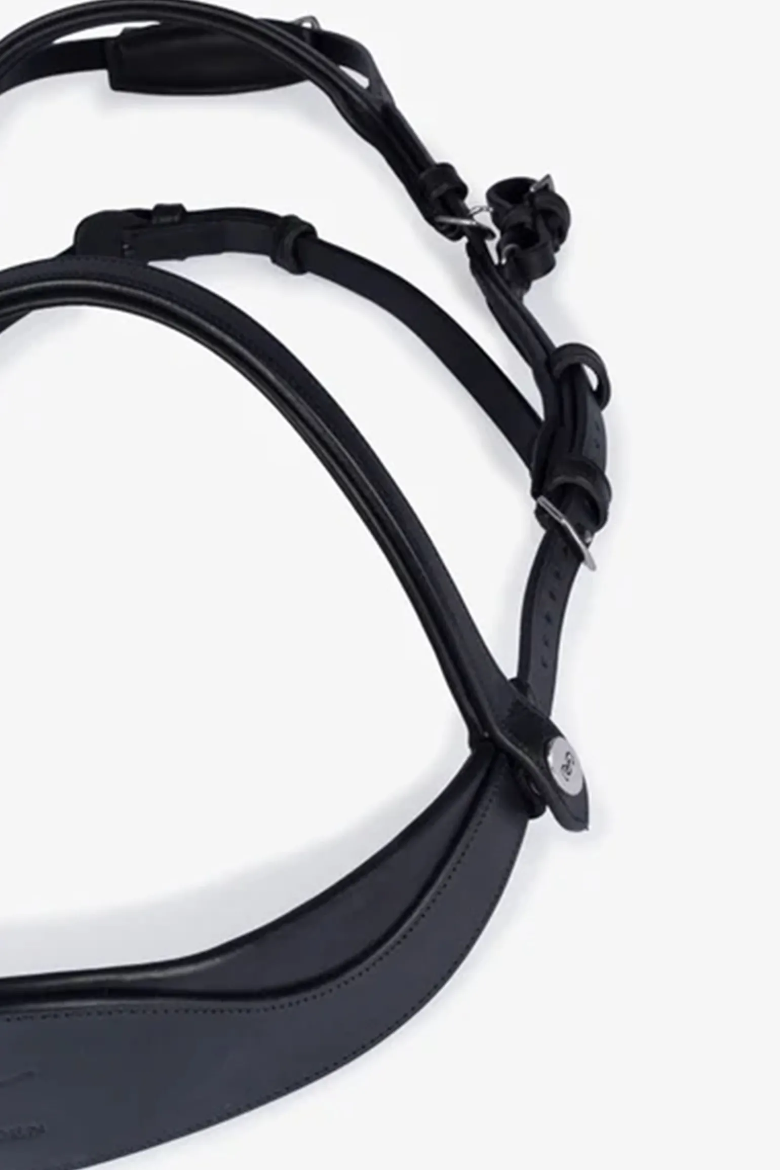 PS of Sweden Hodelag King Edward