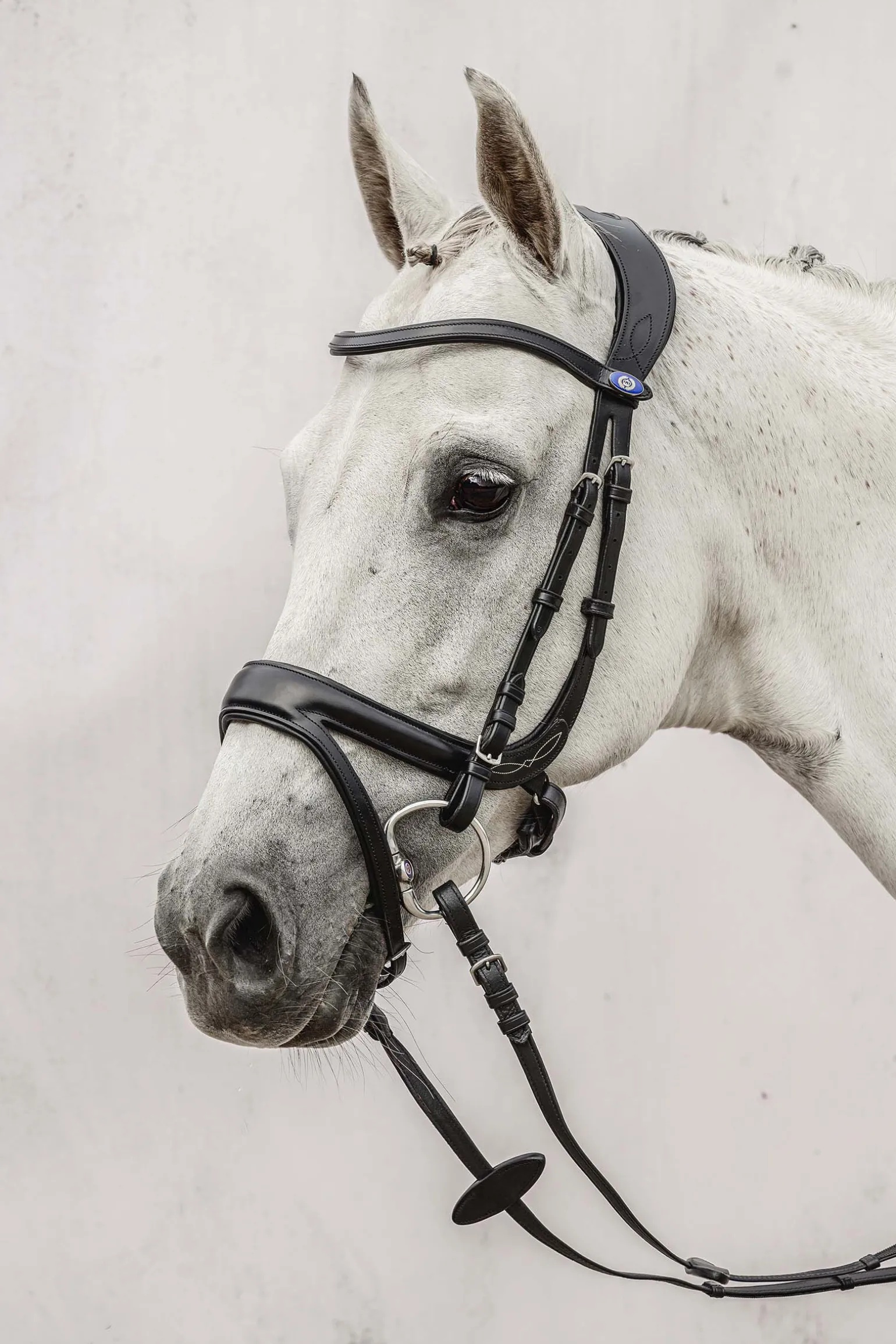 PS of Sweden Jump Off hodelag