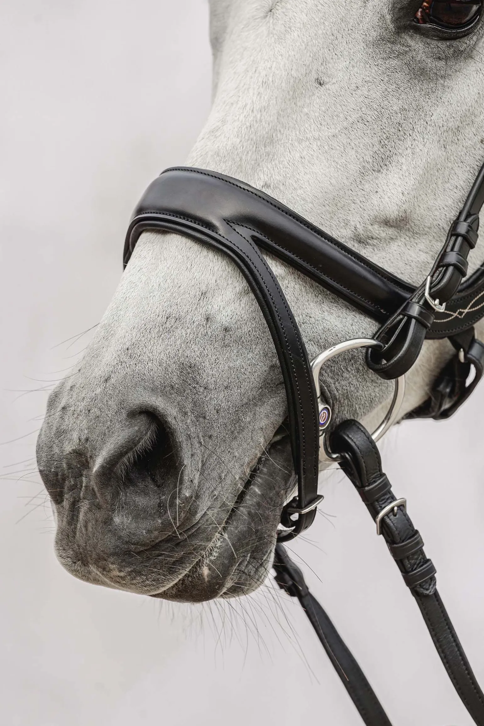 PS of Sweden Jump Off hodelag