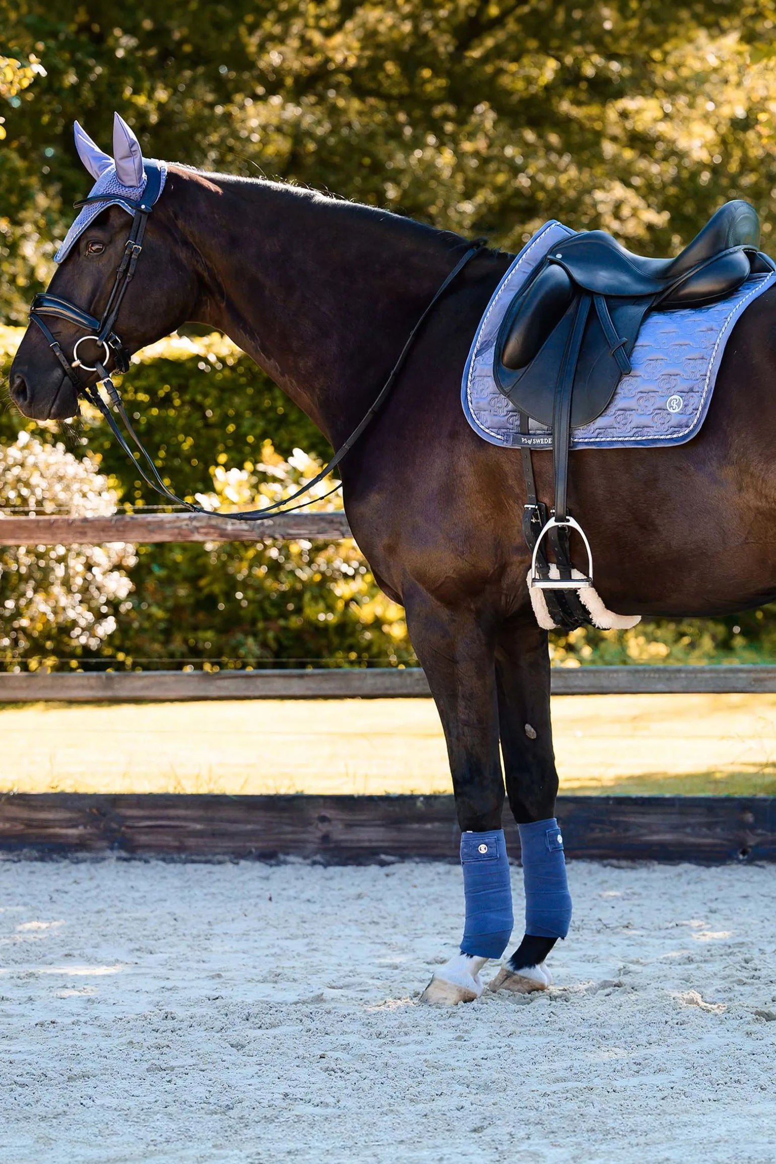 PS of Sweden sjabraker Velvet Monogram dressur